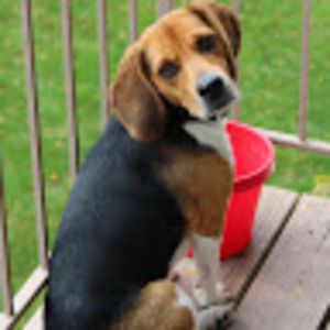 Meet your Posher, Jerome